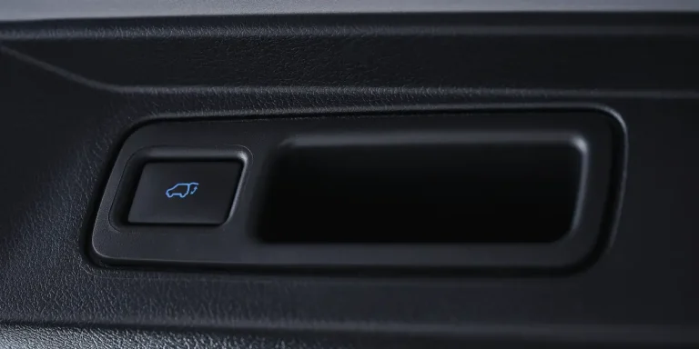 Power Back-Door with Memory Function